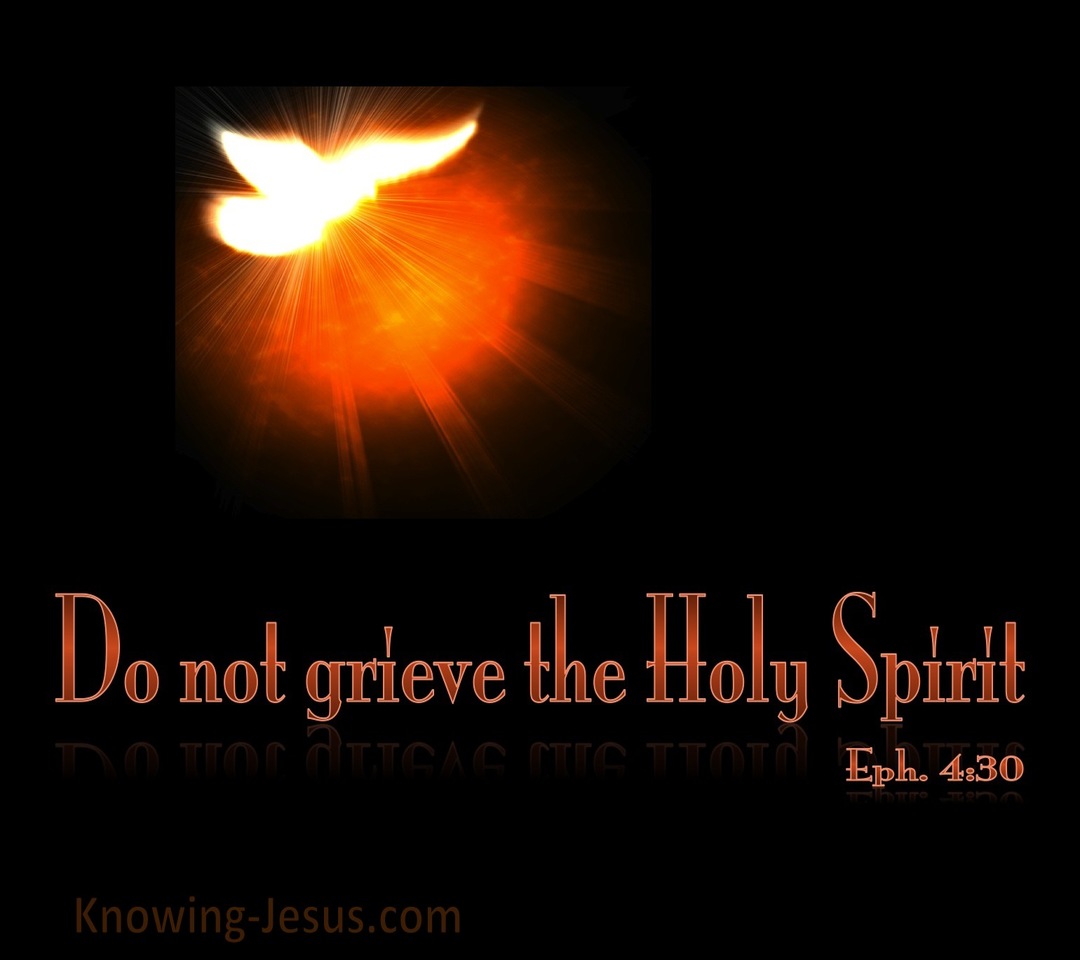 Ephesians 4:30 Do Not Grieve The Spirit (black)